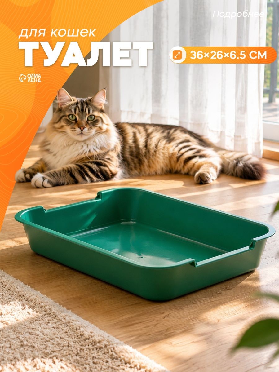 Лоток для кошек большой, 36x26x6.5 см, без сетки, зелёный, На фото — предложение продавца