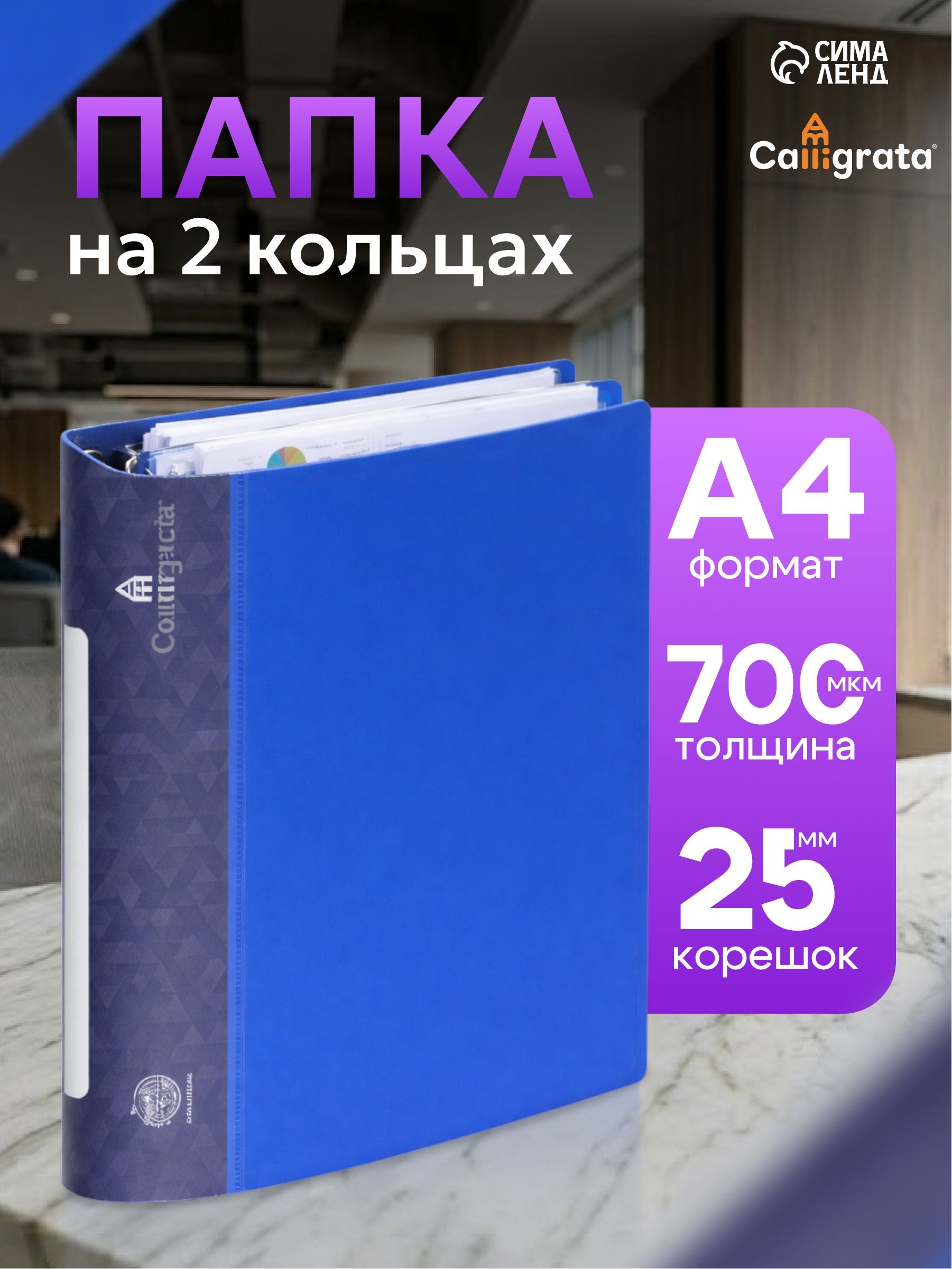 Папка на 2 кольцах А4 пластиковая Calligrata