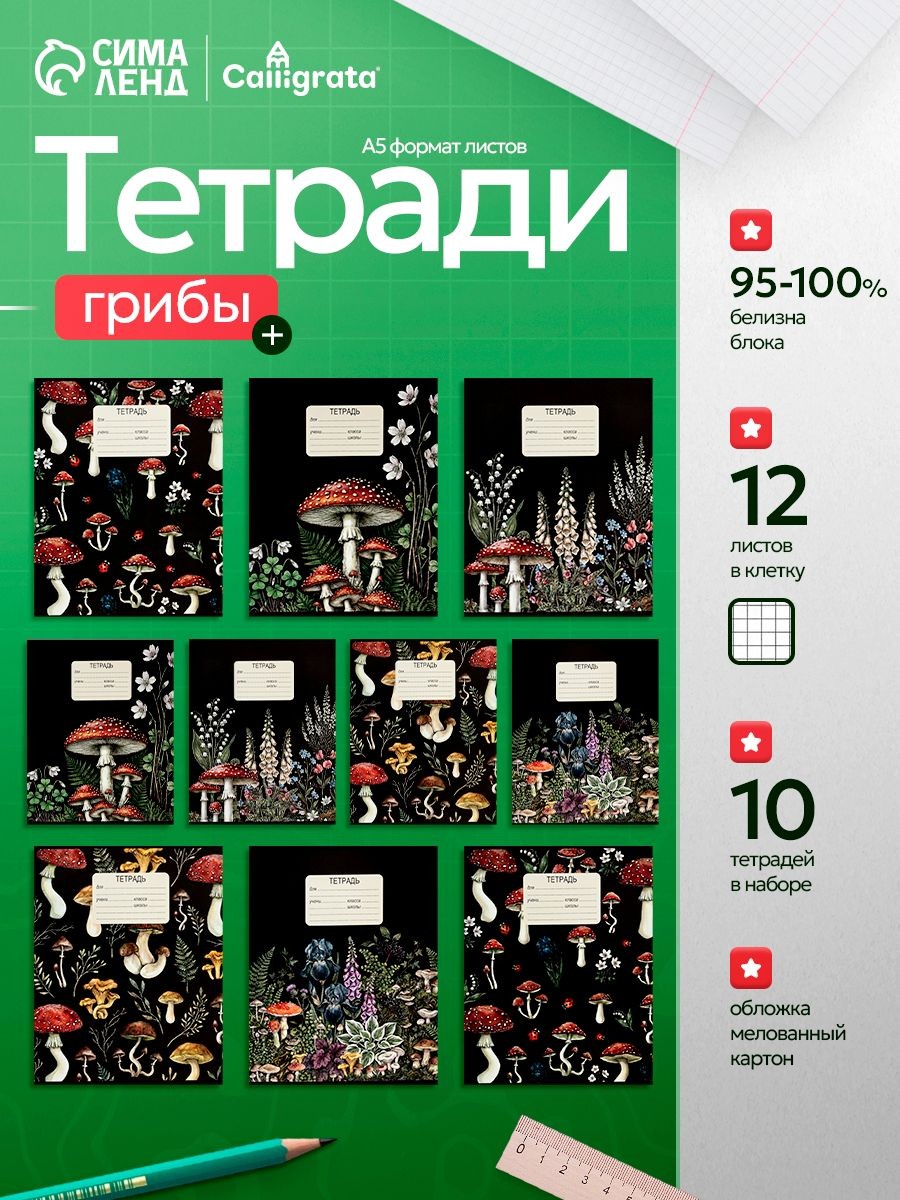 Набор тетрадей в клетку 12 листов, 10 штук, На фото — предложение продавца