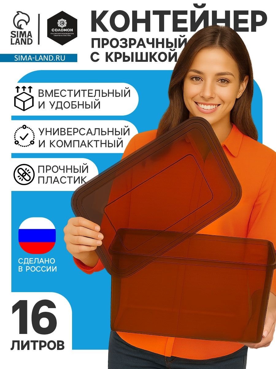 Контейнер для хранения с крышкой, объём 16 л, прозрачно-чёрный / Контейнер для игрушек